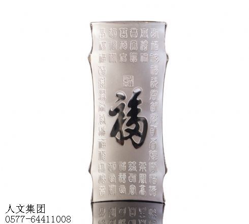 银条005